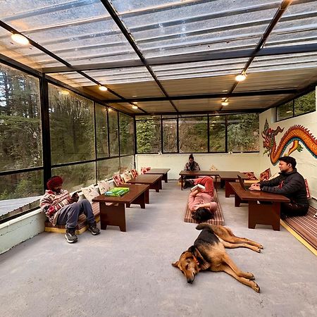 Eevolve Dharamkot - An Eco Hostel 麦罗肯机 外观 照片