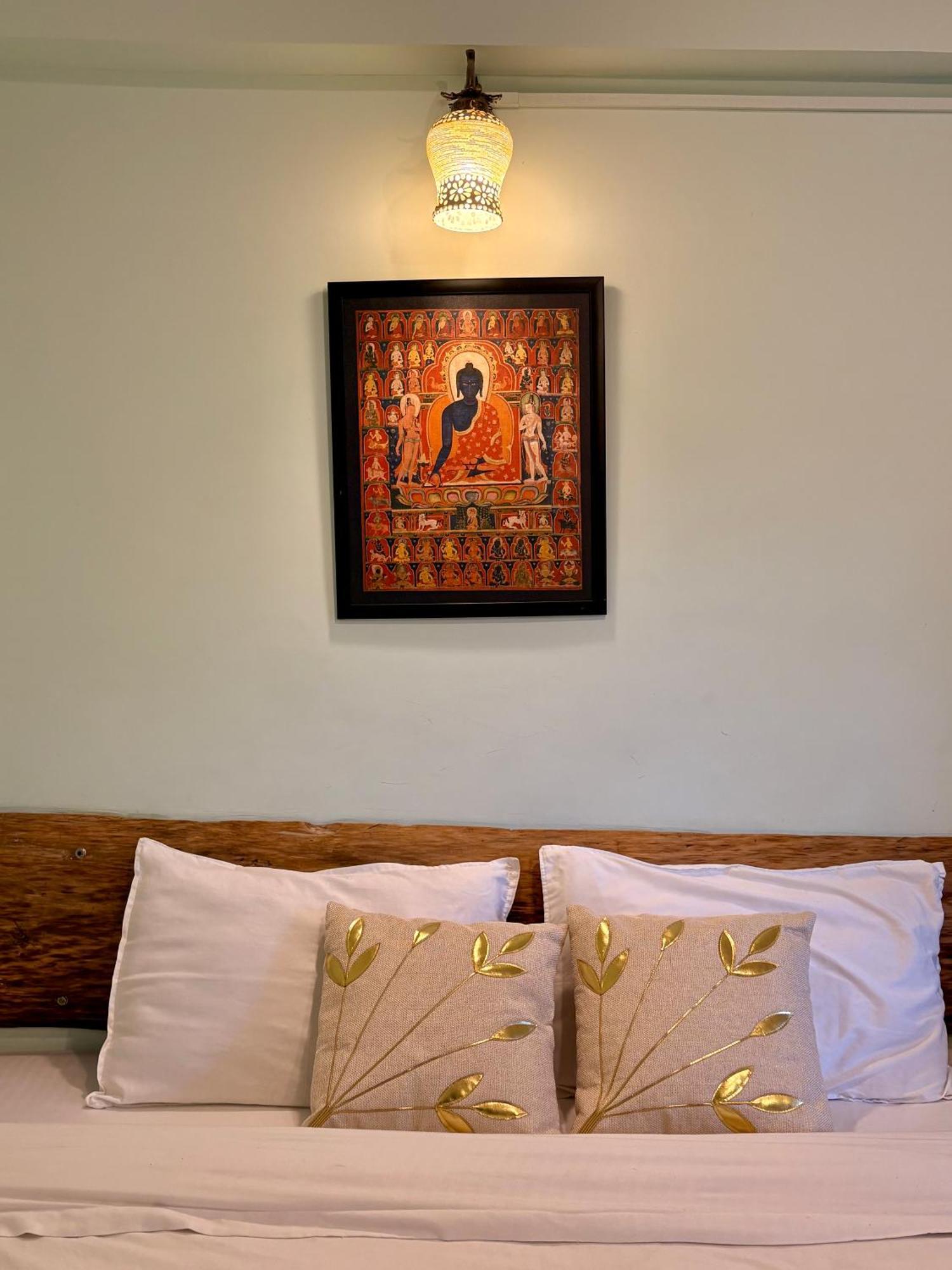 Eevolve Dharamkot - An Eco Hostel 麦罗肯机 外观 照片