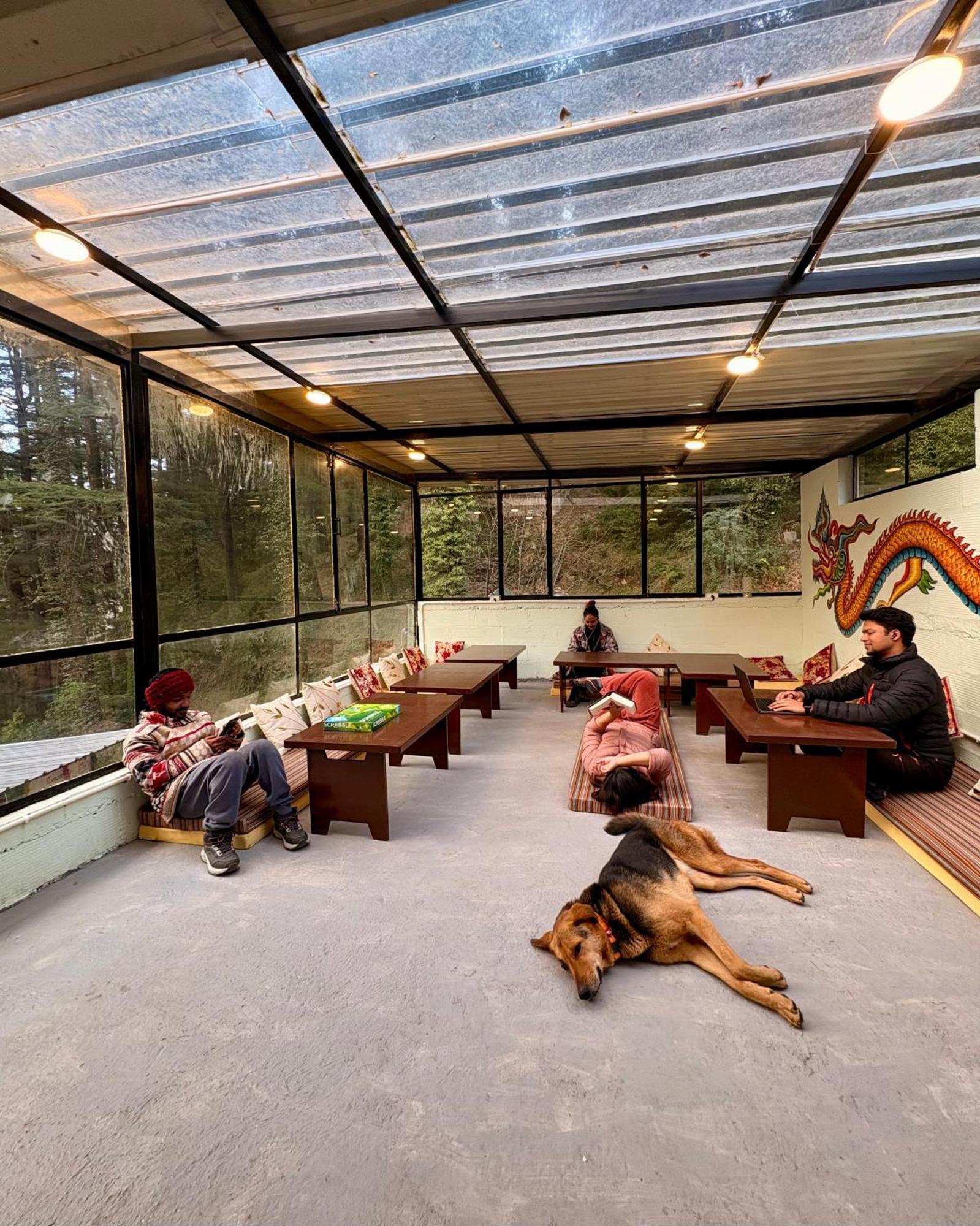 Eevolve Dharamkot - An Eco Hostel 麦罗肯机 外观 照片