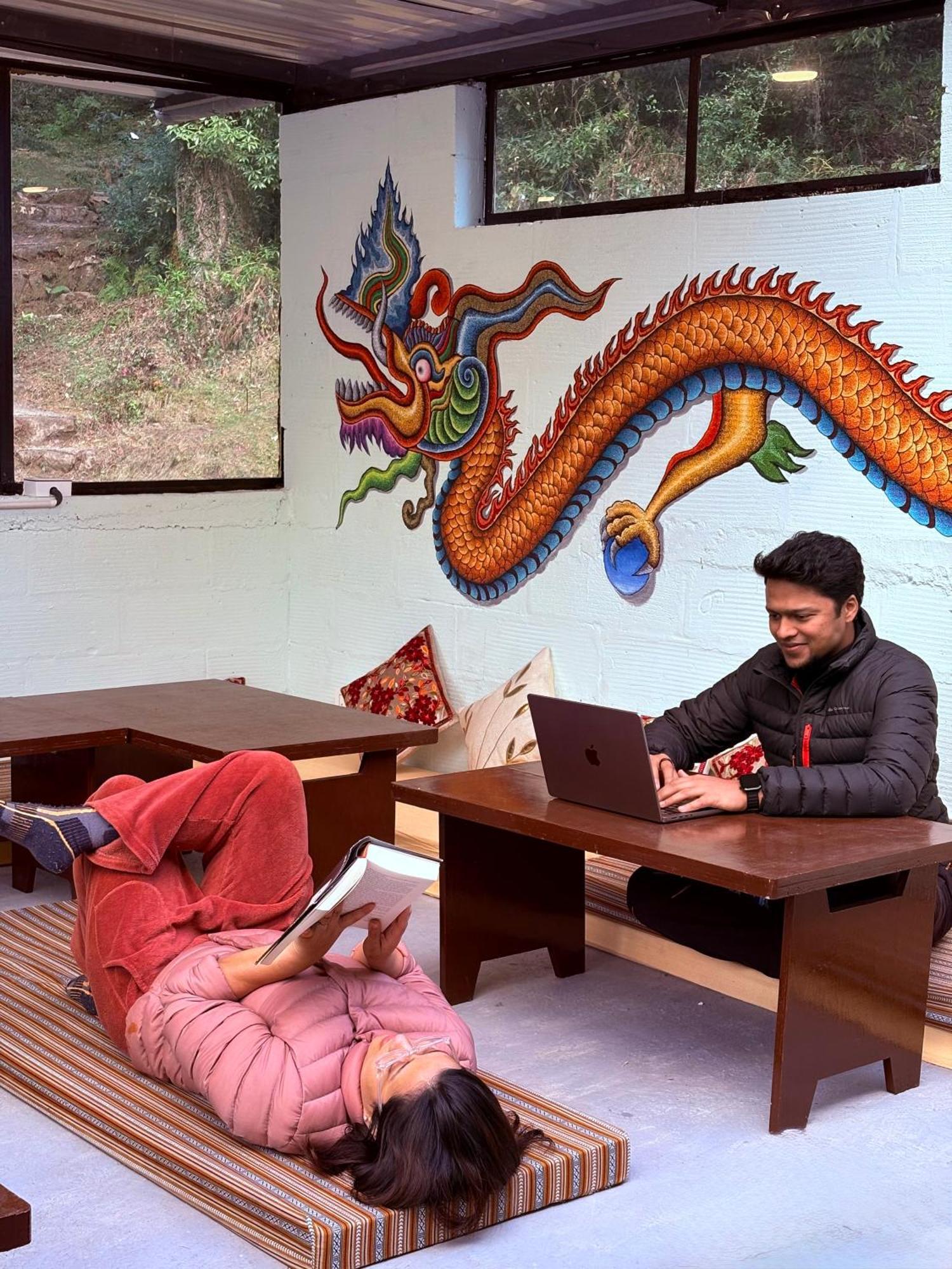Eevolve Dharamkot - An Eco Hostel 麦罗肯机 外观 照片